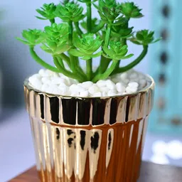 MARKET99 Gold-Toned & Green Croton Artificial Plant With Pot-17