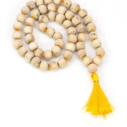 Divine souvenirs Multi Alloy Necklace-image-89