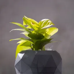 Greyt Grey Textured Cement Planter-5