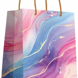 Printed Party Bag-11