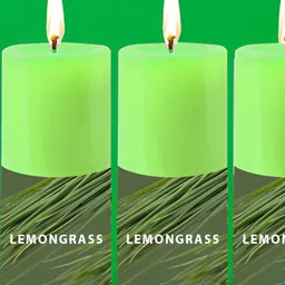 PEEPALCOMM Green Set of 3 Pillar Candle-4