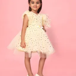 BAESD Floral Print Net Fit & Flare Dress-95