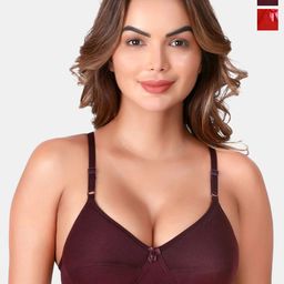 SKDREAMS Bra Medium Coverage Heavily Padded-picture-2