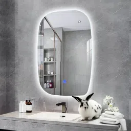 Decorative Interior Wall Lighted 18X24 Bathroom Mirror-picture-20