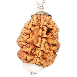 RAVIOUR LIFESTYLE Brown Circular Pendants-image-75