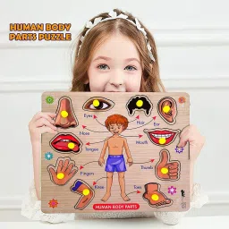 Wooden Human Body Parts Puzzle with Knobs Educational and Learning Game for Kids-image-94