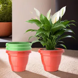 Kuber Industries 4Pc Red & Green Light Weight Planters-42