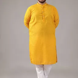 SOJANYA PLUS Size Embroidered Chikankari Band Collar Pure Cotton Straight Kurta-picture-18