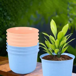 Kuber Industries 8-Pcs Blue & Peach-Colored Durable Planter with Plate-79