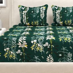 San Marino Green & White Printed Cotton 350 TC Fitted Queen Bedsheet Set-2.54 m x 2.28 m-image-29