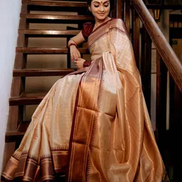 all about you Woven Design Zari Banarasi Saree-picture-45
