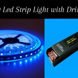 120 LEDs 5 m Green Steady Strip Rice Lights-image-98