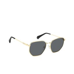 Polaroid Unisex Aviator Sunglasses with UV Protected Lens 2067042F756M9-53
