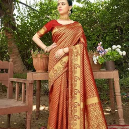 parampara ethnic Pure Silk Embroderid Saree With Beautiful Blouse-picture-22