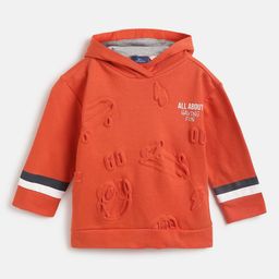 Chicco Boys Printed Hooded Sweatshirt-24