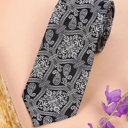 Alvaro Castagnino Men Paisley Printed Broad Tie-image-66