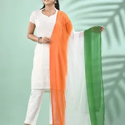 DESH BIDESH Tricolour Tie & Dye Chiffon Dupatta-30