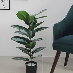 Home Bloom Green 1 Pieces Artificial Plant With Pot-image-57