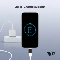 Inbase USB Type C OTG Adapter image 2