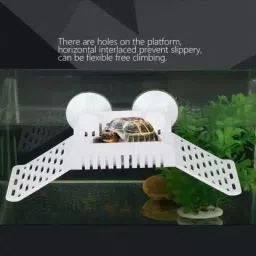 akshat enterprises Basking Area/Stand Reptiles Platform Aquarium Tool image 2