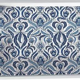 Liena White Border Dining Serving and Desk Rectangular Tray-56