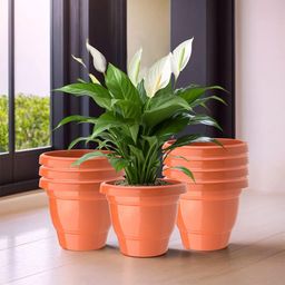 Kuber Industries 8-Pcs Orange-Coloured 2-Layer Phooldaan Planters-24