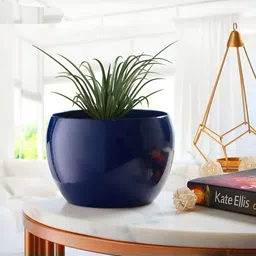 Sunshine Blue Planter-28