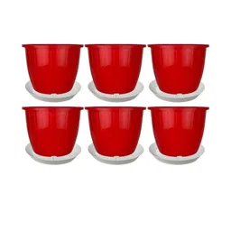 8 Inch Duro Pot for Plants with Saucer Tray-image-25