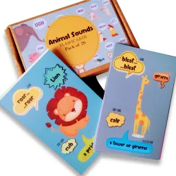 Animal Sounds and collective noun Flashcards-12