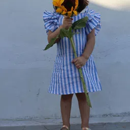 Funny Bones Clothings Striped Flutter Sleeve Ruffled Linen A-Line Dress-image-58
