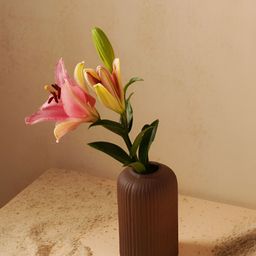 PUREZENTO Brown Textured Small Ceramic Vase-30
