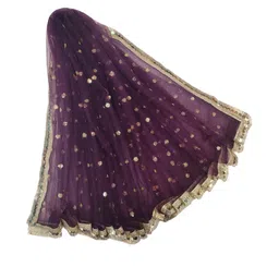 Navti Creations Embroidered Sequinned Dupatta-picture-2