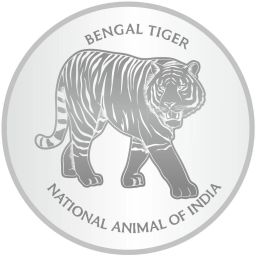 SK25TRCP S 999 25 g Silver Coin-image-23