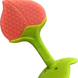 Fruit Shape Silicone Teethers Soft Stick Chews Nibbler for Baby Dental Care Teether-17