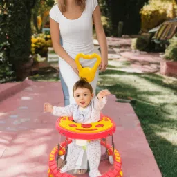 Musical Activity Walker With Parent Rod-image-97