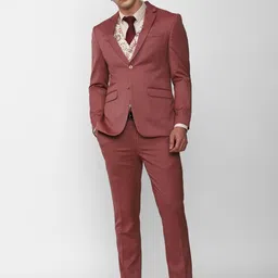 peter england Men 3 Piece Suit Printed Suit-picture-29