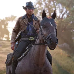 Red Dead Redemption 2_Instant Mail Delivery (SCAN THE QR) Ultimate Edition image 4