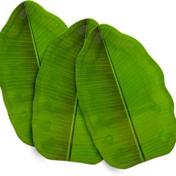 Banana Leaf Lunch Serving Melamine Platter Plate(SIZE-14" X 8.75" Inch) Tray-17