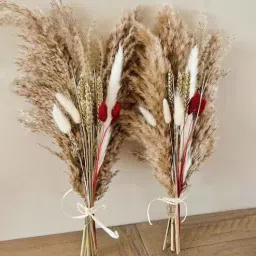 artecasa Festive 2 Bunches Natural Dried Flowers-picture-0