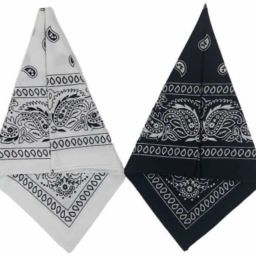 Men Printed Bandana-image-13