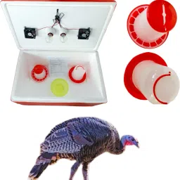 Eggs Semi Automatic EPS Th Incubator 100 egg two, holder 1 drinker 1 feeder, Egg Incubator-2
