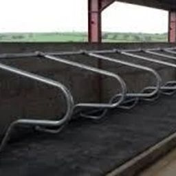 Cow Mat Waterproof Rubber mat 8×5 feet BPA Free for Horse Cow, Dog, Hamster, Guinea Pig, Miniature Pig Pet Mat-image-27