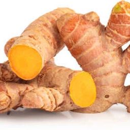 RAW TURMERIC for glowing skin or plantation Seed-image-66