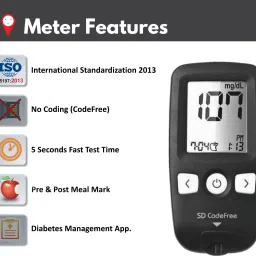 SD Codefree Blood Glucose Monitoring Machine with 100 Strips 100 Lancets & Lancing Device 100 Glucometer Strips image 2