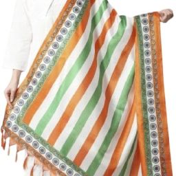 Crepe Chiffon Geometric Print Multicolor Women Dupatta-image-21