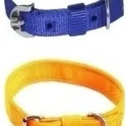 GTL Pets Dog & Cat Everyday Collar-27