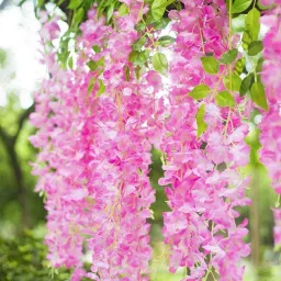 Pink Westeria Artificial Flower-image-26