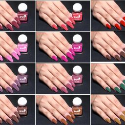 Glossy Finish Nail Polish | Long lasting, Quick Dry Paint With Chip Resistant | 12 Different Glossy Finish Shades-image-91