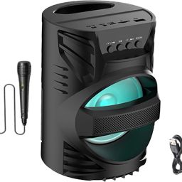 RECTITUDE Led Dj Light, Carry Handle, Support Bluetooth, Fm Radio, Aux with Free Mic 10 W Bluetooth Soundbar-image-20