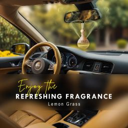 the old natural LEMON GRASS Car Freshener Diffuser image 3